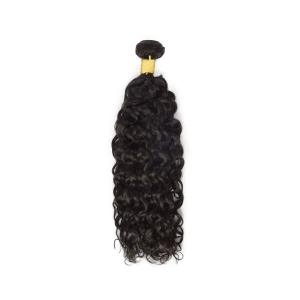 Burmese - Curly