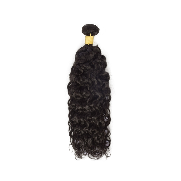 Burmese - Curly